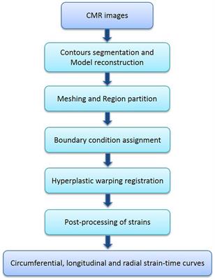 Quantification of Biventricular Strains in Heart Failure With Preserved Ejection Fraction Patient Using Hyperelastic Warping Method